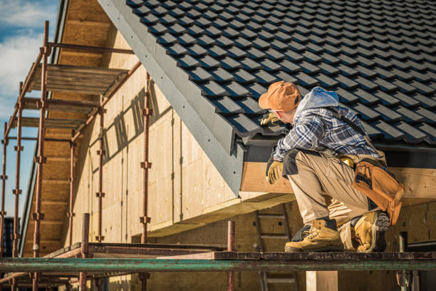 Best Roof Moss and Algae Removal  in Blakely, PA