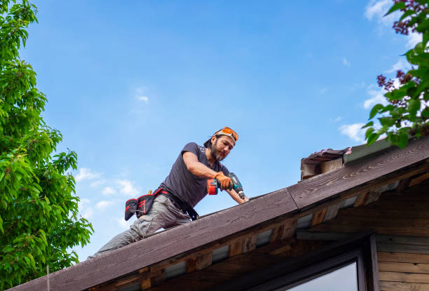 Best Cold Roofs  in Blakely, PA