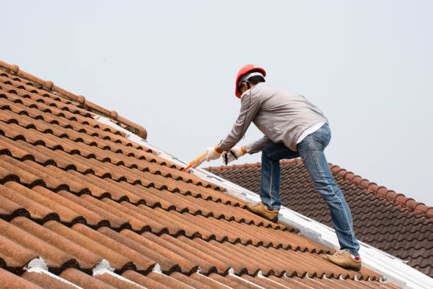Best Green or Eco-Friendly Roofing Solutions  in Blakely, PA